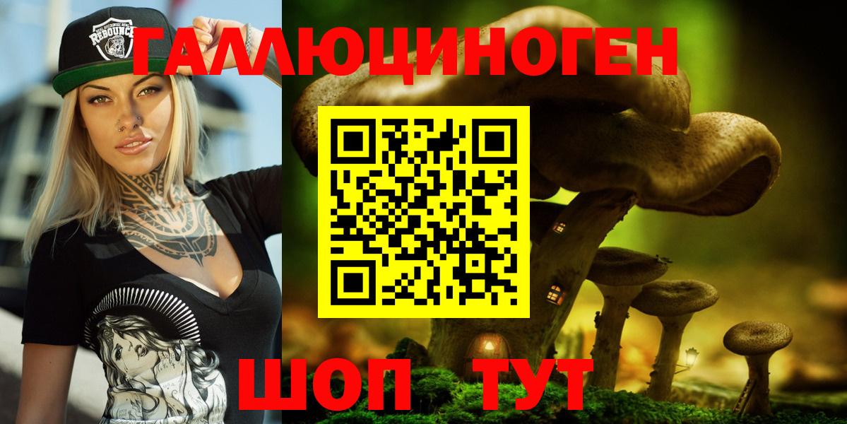 Камышин  Псилоцибиновые грибы GOLDEN TEACHER  Вход с VPN  сколько стоит  Псилоцибиновые грибы мухоморы 