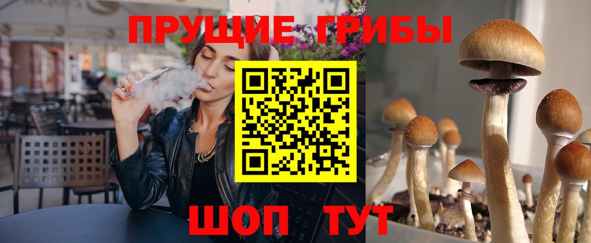 Псилоцибиновые грибы Psilocybe Камышин